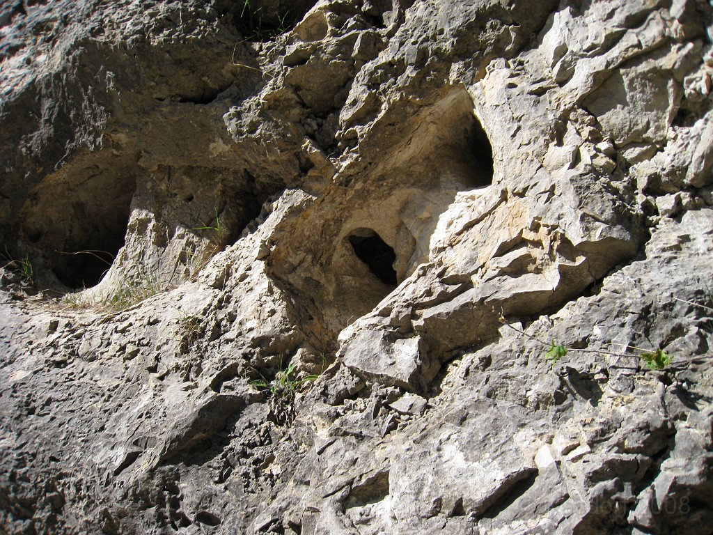 Mackinaw Island Area May 2008 0892.jpg - May 24 2008 a trip to Mackinac City for a 5 M race and a visit to Mackinac Island. A day to the UP, Paradise, Whitefish Point and Tahquamen Falls. This was followed by trips to Petoskey and Charlevoix.